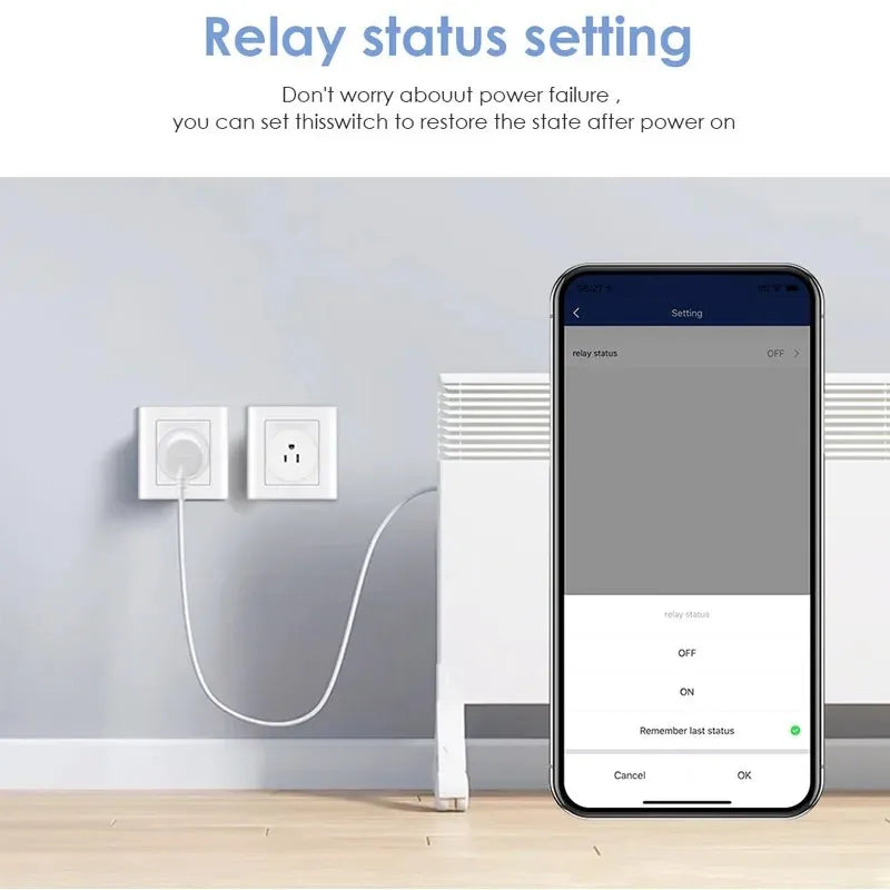 SmartEase WiFi Plug