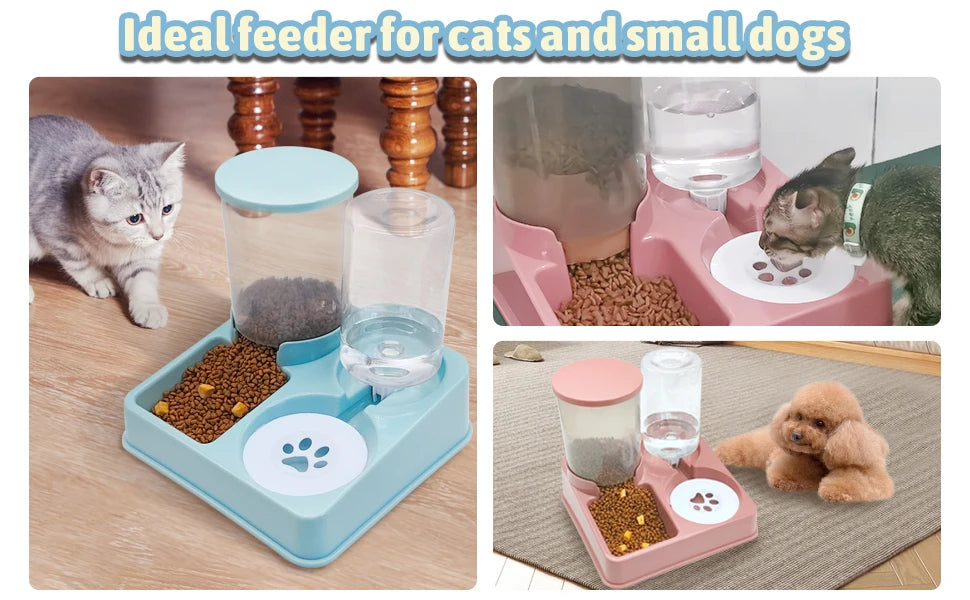 WhiskerWell Duo: Tilted Food & Water Feeder