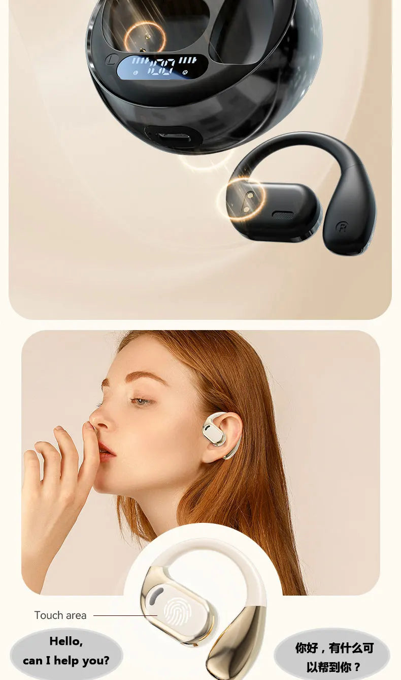 LinguaLink Pro Earbuds